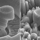 Illustration for article titled Magnesium Nano-composite Has Record Breaking Strength-to-Weight Ratio